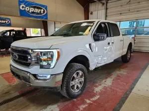 Ford F-150 5.0L 8 2023