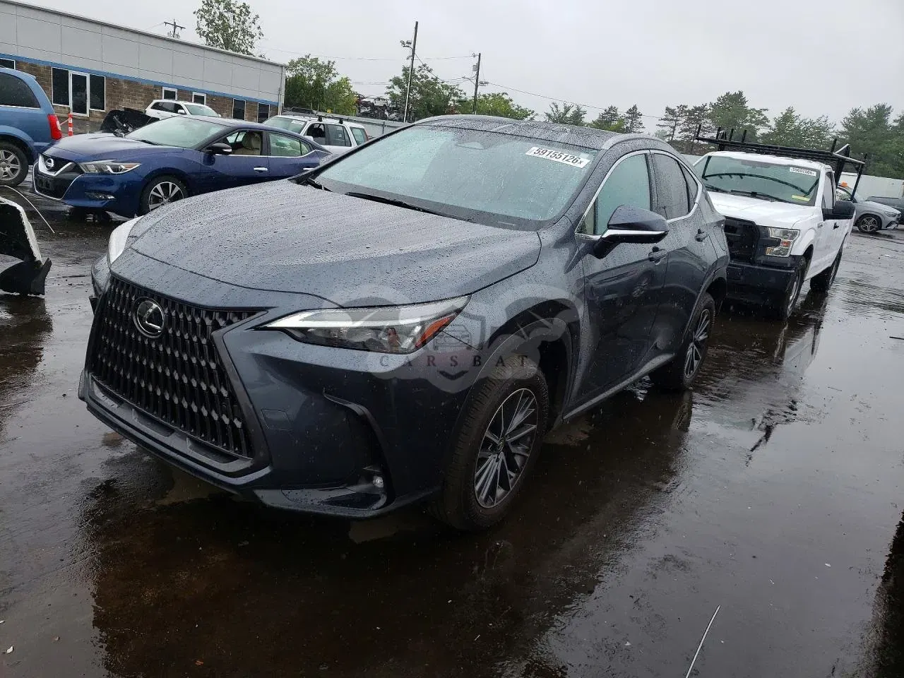 Lexus NX 2.4L 4 2024