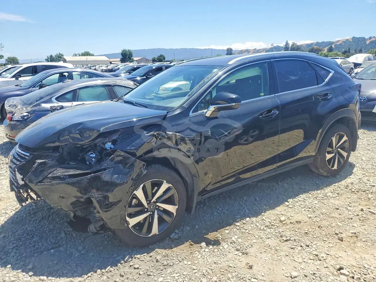 Lexus NX 2.0L 4 2020