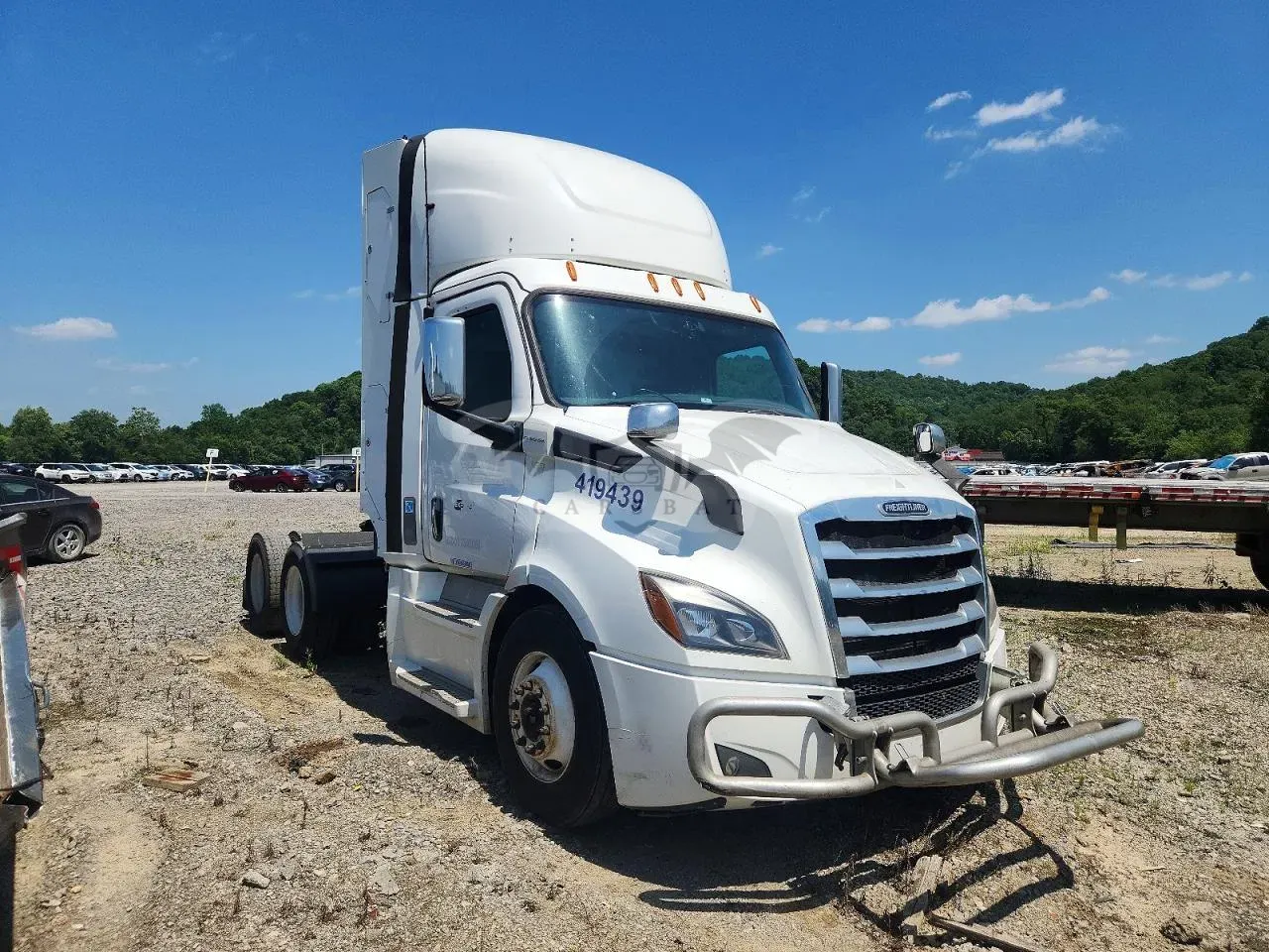 Freightliner Cascadia 11.9L 6 2019