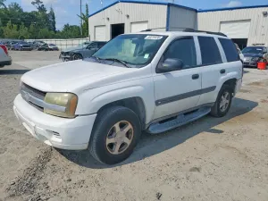 Chevrolet Trailblazer 4.2L 6 2004
