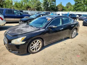 Nissan Maxima 3.5L 6 2011