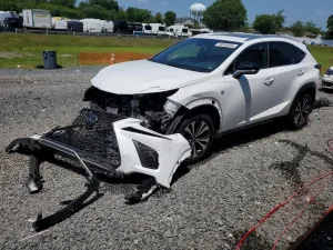 Lexus NX 2.0L 4 2020