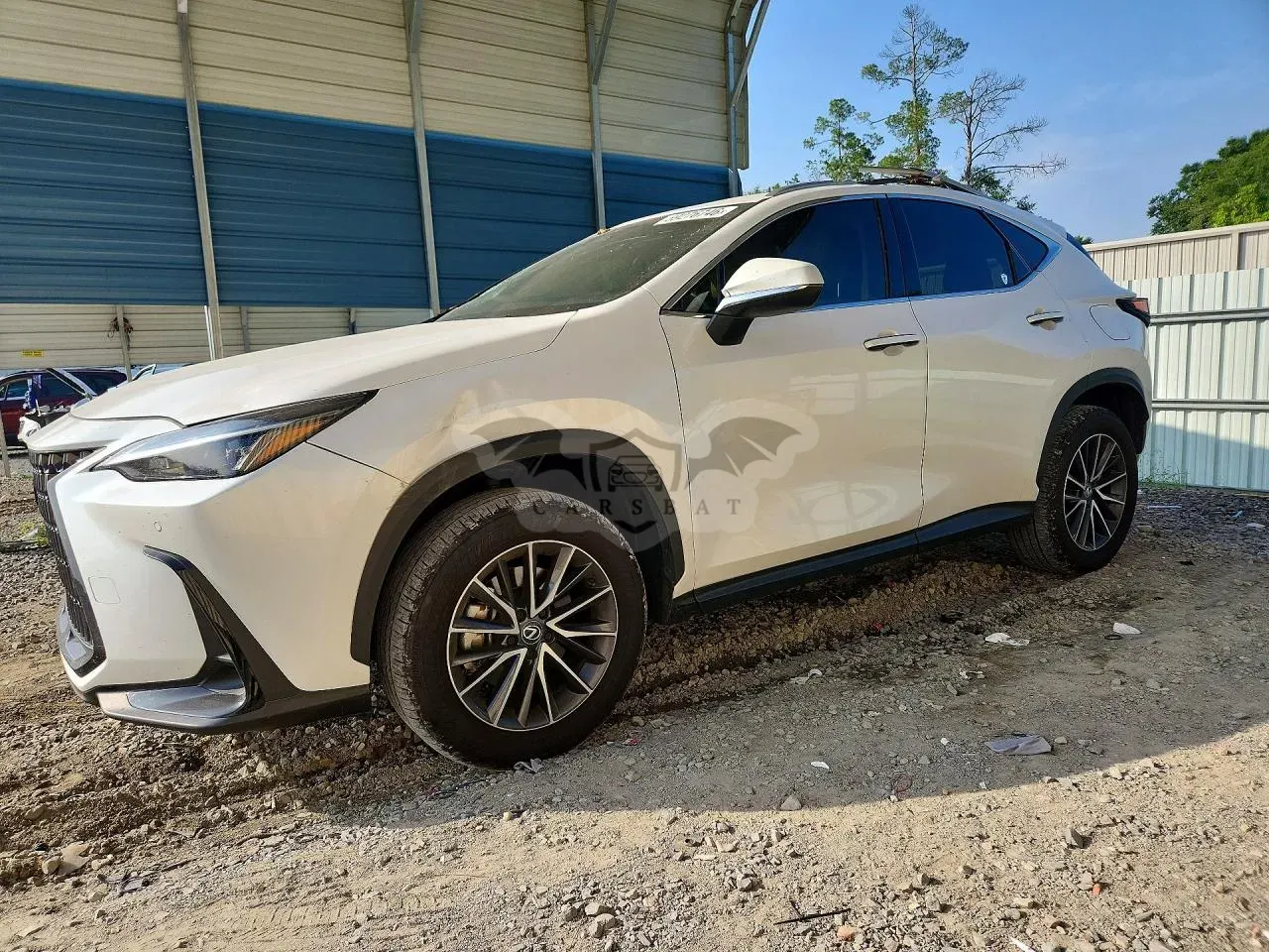 Lexus NX 2.4L 4 2025