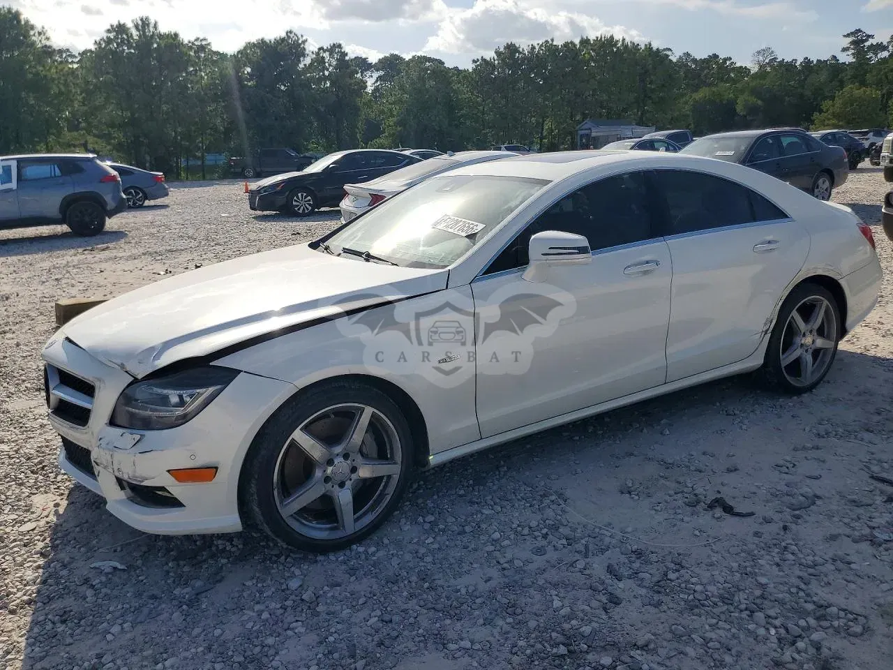 Mercedes-Benz CLS 4.6L 8 2012