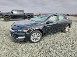 Chevrolet Malibu 1.5L 4 2023