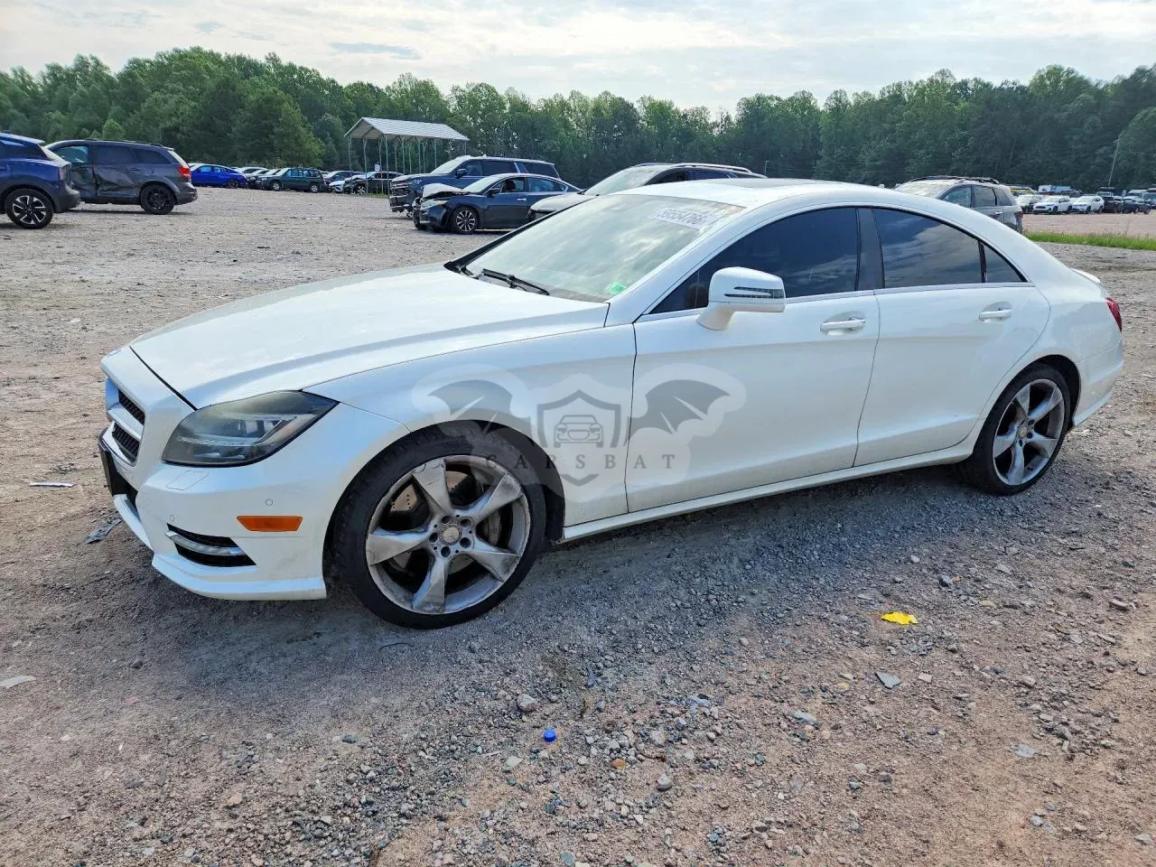 Mercedes-Benz CLS 4.6L 8 2013