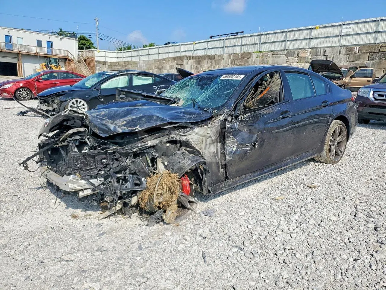 BMW 5 Series 4.4L 8 2023