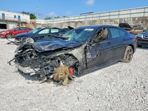 BMW 5 Series 4.4L 8 2023