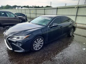 Lexus ES 3.5L 6 2019
