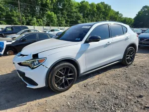 Alfa Romeo Stelvio 2.0L 4 2019