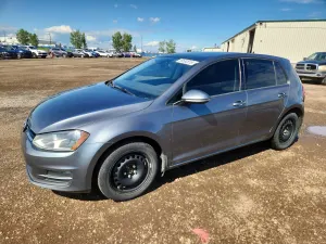 Volkswagen Golf 1.8L 4 2016