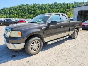 Ford F-150 4.6L 8 2007