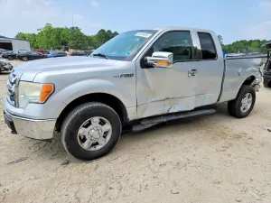 Ford F-150 4.6L 8 2010