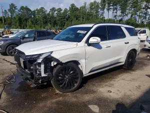 Hyundai Palisade 3.8L 6 2024
