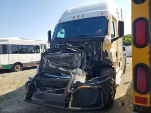 Freightliner Cascadia 12.8L 6 2020