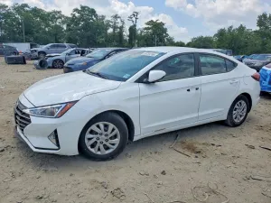 Hyundai Elantra 2.0L 4 2020