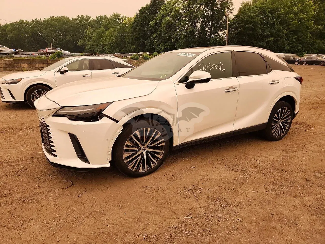Lexus RX 2.4L 4 2024