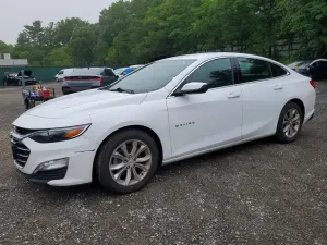 Chevrolet Malibu 1.5L 4 2023
