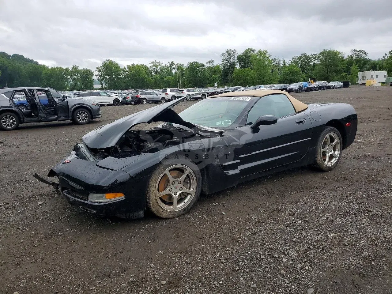Chevrolet Corvette 5.7L 8 2002