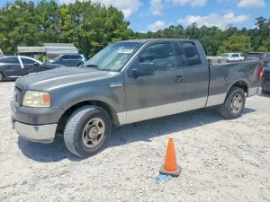 Ford F-150 4.6L 8 2004