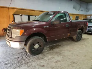 Ford F-150 4.6L 8 2009