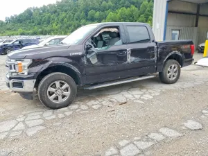Ford F-150 5.0L 8 2019