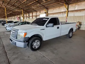 Ford F-150 4.6L 8 2009