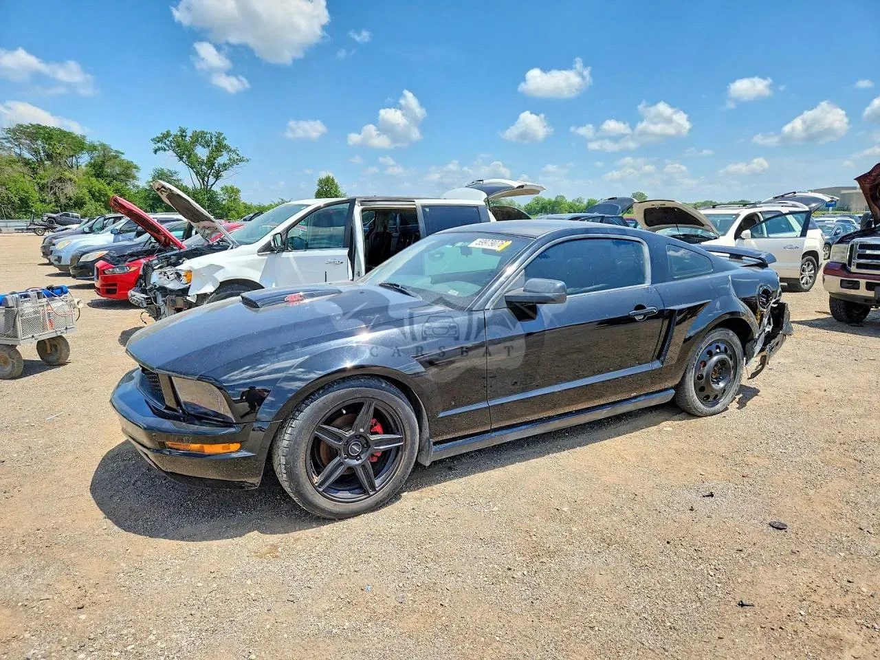 Ford Mustang 4.0L 6 2005