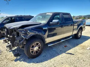 Ford F-150 5.4L 8 2007