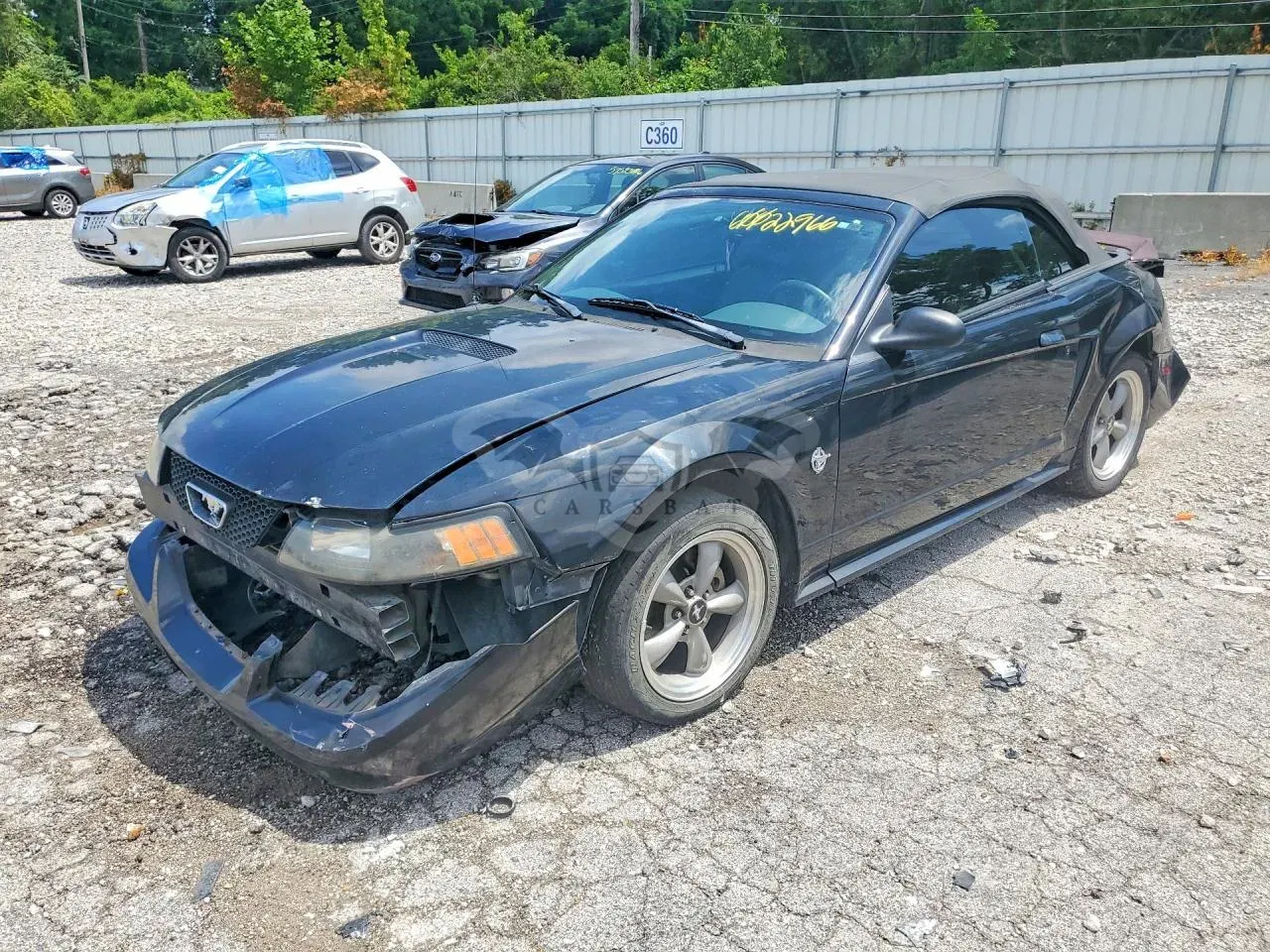 Ford Mustang 4.6L 8 1999