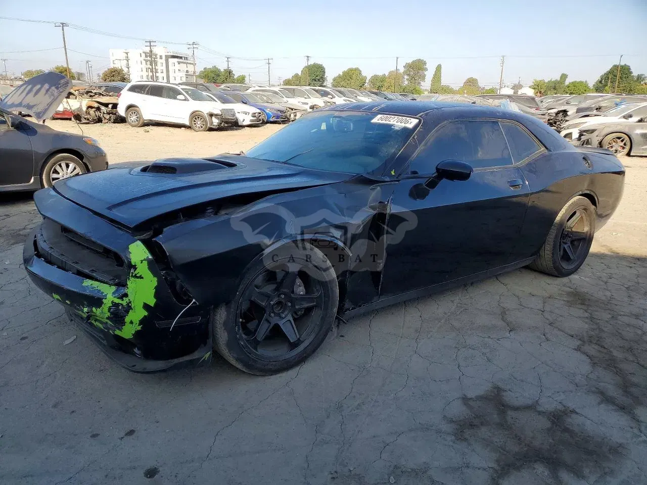 Dodge Challenger 6.4L 8 2019