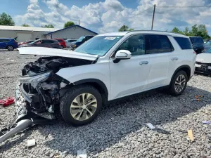 Hyundai Palisade 3.8L 6 2020