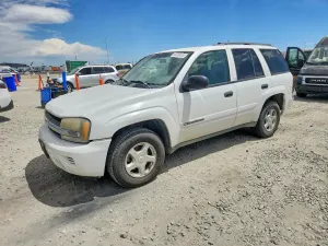 Chevrolet Trailblazer 4.2L 6 2002