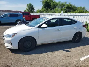 Hyundai Elantra 2.0L 4 2020