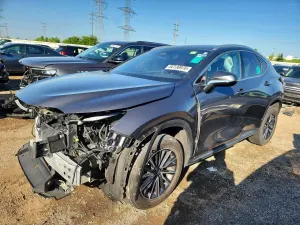 Lexus NX 2.5L 4 2022