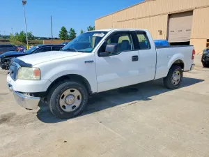 Ford F-150 4.6L 8 2004