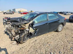 Toyota Corolla 1.8L 4 2019
