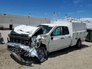 Chevrolet Silverado 1500 6.6L 8 2022