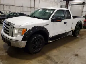 Ford F-150 4.6L 8 2010