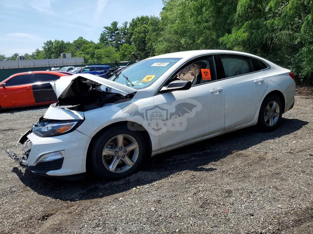 Chevrolet Malibu 1.5L 4 2024