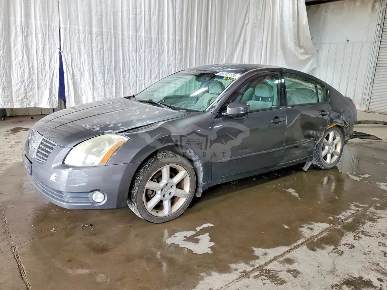 Nissan Maxima 2006