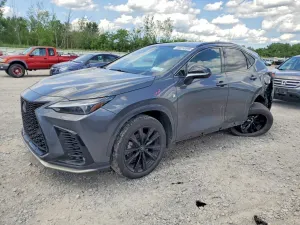 Lexus NX 2.4L 4 2024