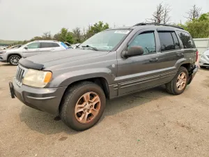 Jeep Grand Cherokee 4.0L 6 2004