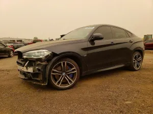 BMW X6 4.4L 8 2015