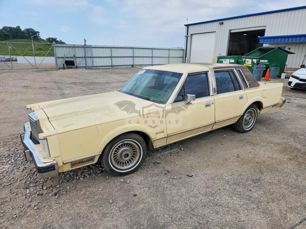 Lincoln Town Car 5.0L 8 1981