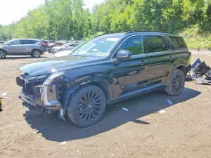 Hyundai Palisade 3.8L 6 2025