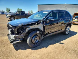 Toyota Rav4 2.5L 4 2024