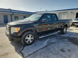 Ford F-150 4.6L 8 2010