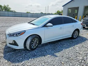 Hyundai Sonata 2.4L 4 2019
